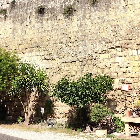 Apartament La Torre Tarquinia Zewnętrze zdjęcie