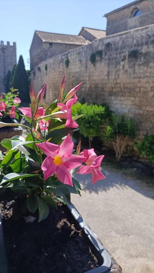 Apartament La Torre Tarquinia Zewnętrze zdjęcie